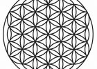 free-spirit flower of life