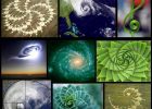free-spirit spiral